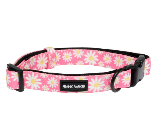 Frank Barker Daisy Dog Collar