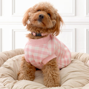 Frank Barker Gingham Dog Coat Small